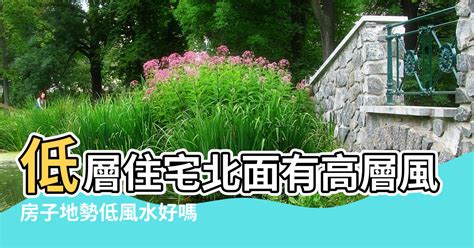 房子後面有魚池好嗎|池塘對住宅風水有何影響